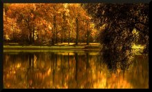 Romance über ihren Fall / ***********************
