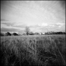 Feld / Kodak 120mm black and white, 320.
