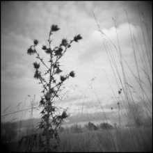 Sie / Kodak 120mm black and white, 320.