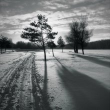 Morning Walk / ***