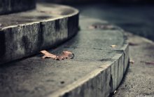 the falling leaves of Paris / day 27