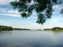 Auf dem Teich / ***