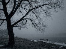 durch den Schnee 2 / ***