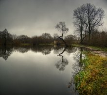| Reflected | / *****