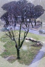 Der erste Schnee / ***