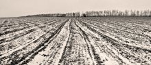 WINTER CURVES / *****