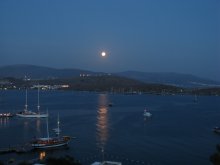 Moon / ***