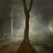 Einsamkeit / ***