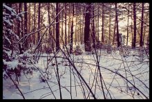 Winter / .......