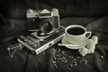 Morning Fotografen / ***