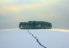 Insel / -------------