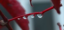 Fenster .... / ***