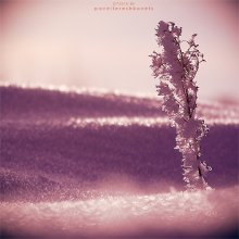 [2010. Warm Morgen Jazz} / *******