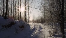zum Drehen der Sonne / _________________