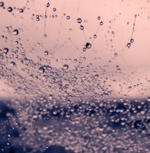 Morning Dew / *****