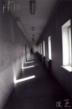 PF`2010 / ***