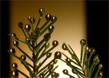 Heiligabend / ***