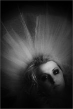 Ohne Titel / ***