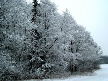 Winterwald / ***