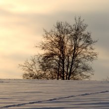Über Wintermorgen / -----