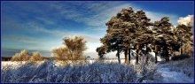 Wintertag / ***