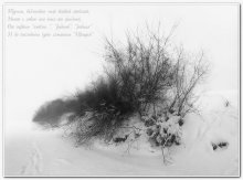 Nebel still ... / ***