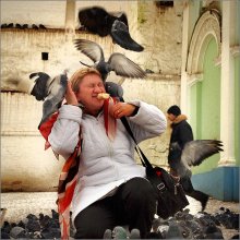 The birds / ***