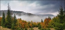 Herbst in den Wolken / ***
