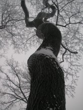Schlange ... / ........
