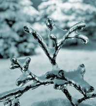 Winter Spielzeug / ***