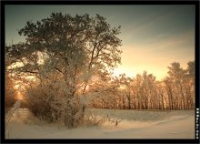 Morgendämmerung / ***