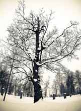 kalt .. / .....