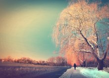 Winter Farbe / ........
