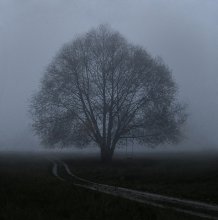 The Vague Memoirs / ***
