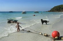 Ball Boy Dog und dem warmen Meer. / .................................