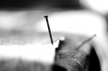 Schnecke / *****