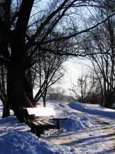 Sunny Day / *****