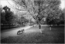 Gelbe Herbst / ************