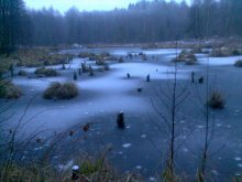 Winter Muster / ***