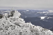 Schneevergnügen / ***