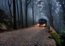On Road Home. / .................