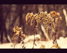 My Winter / .............