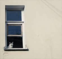  / ********