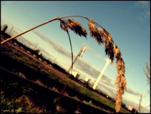 Heat ... / ***