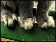 Soft? / ***