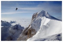 fliegen / ***