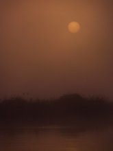 Orange Morning / ..........