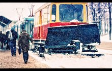 winter / *****