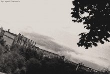 Schnitt während des Fluges / ***