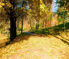 Goldener Herbst / ***
